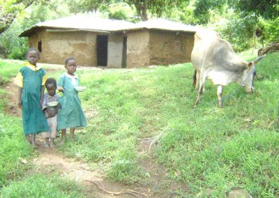 Elgon Children & Cow