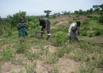 Farm work