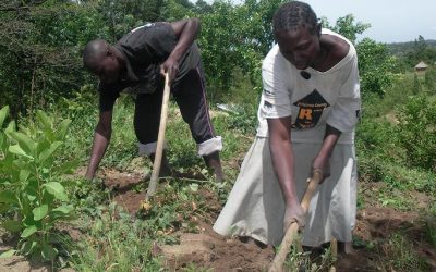 Pastor Davidson’s Farming to Feed Children