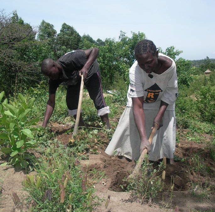 Pastor Davidson’s Farming to Feed Children