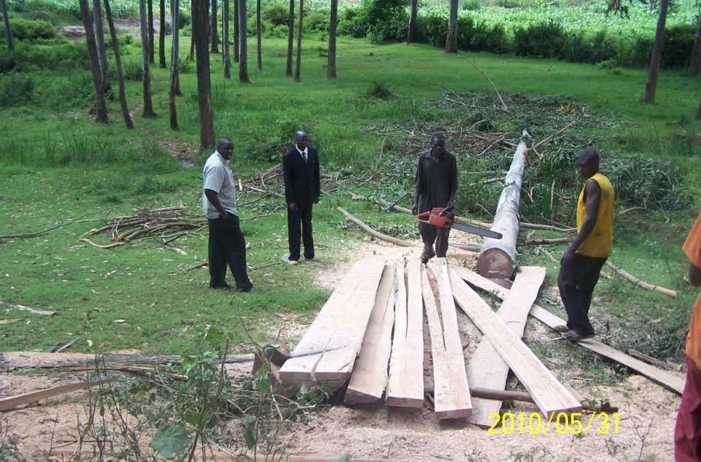 Day 15 – Timber cut for roof